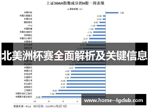 北美洲杯赛全面解析及关键信息