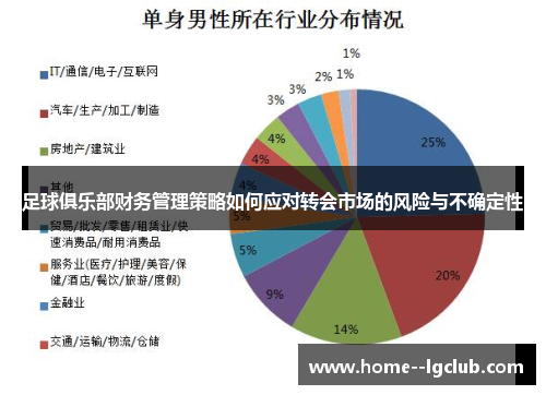 足球俱乐部财务管理策略如何应对转会市场的风险与不确定性